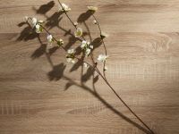 Ветвь Счастливой Пасхи/Buona Pasqua I