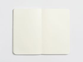 Планер недатированный Falafel books I’m fine silver