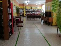 Библиотека-филиал № 3 р. п. Широковский