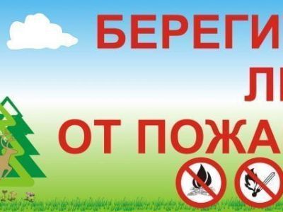 В Мирнинском районе действующих лесных пожаров нет