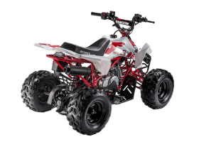 Квадроцикл ACCESS AMS 110 MiniSport