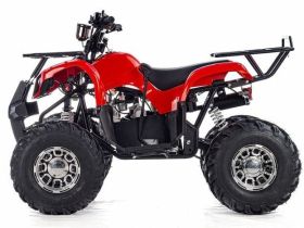 Квадроцикл RAPTOR Max Pro 150