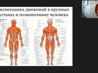 Международный вебинар «Общие правила организации движений ослабленных и парализованных пациентов»