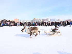 В Якутске после семилетнего перерыва проходят Игры оленеводов