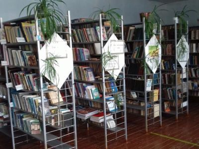 Малокарзинская сельская библиотека