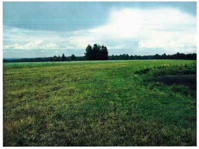 Священная роща