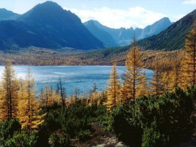 «Камчатка и Сахалин делают это два раза в неделю»