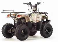 Квадроцикл MOTOLAND 110 Rider (2021 Г.)