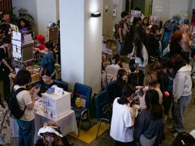 Картонная битва, аниме-косплеи и музыка: в Якутске прошёл фестиваль «Хотон»