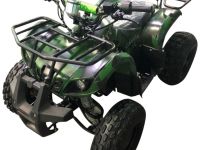 Электроквадроцикл AVANTIS ATV Classic 8E (1000W)