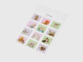 Объёмные наклейки для девочек, 12 шт., Мультицвет