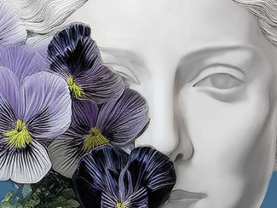 Фиалка Монмартра