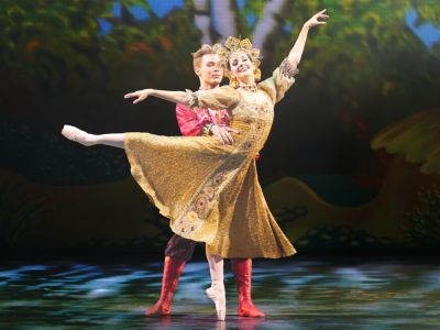 Конёк-горбунок (НОВАТ)