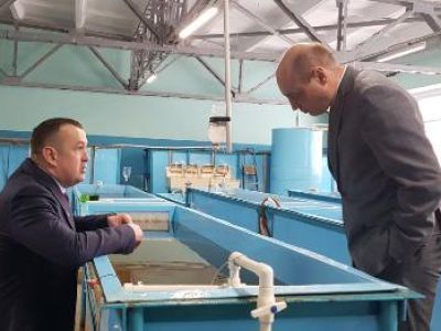 Рыбоводческое производство набирает обороты