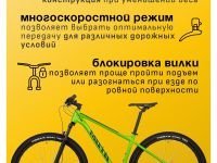 Горный велосипед Atom Bion Nine 20, год 2024, цвет Зеленый, ростовка 18.5