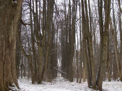 Мост перед въездом