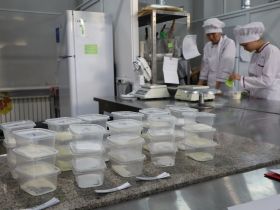 Участники «Вкуса Севера» приготовили меренгу с таежными ягодами и рыбные мини-пироги