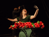 Камерный драматический театр «Доминанта»