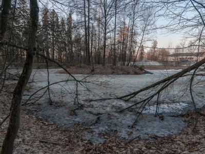 Парк с прудами