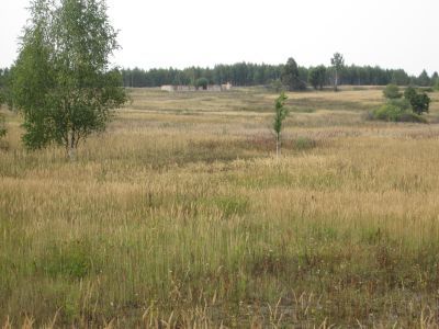 Памятное место, где гитлеровцы  расстреляли мирных жителей, а деревню сожгли