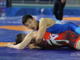 Определены финалисты всероссийского турнира по вольной борьбе Александра Крылова