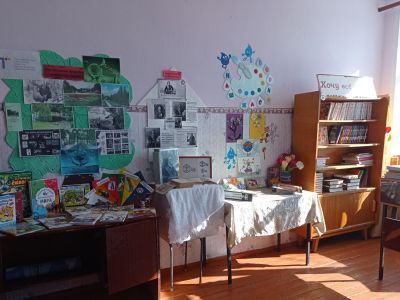 Нижне-Челнинская сельская библиотека