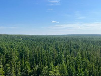 В Якутии локализовали три лесных пожара на площади более 20 тысяч гектаров