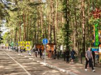 Домодедовский городской парк культуры и отдыха «Ёлочки»