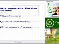 Организация внеурочной деятельности по химии как условие реализации новых образовательных стандартов