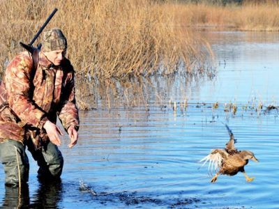 Сроки открытия весенней охоты в РС (Я) в 2022 году