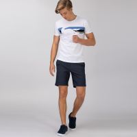 Мужские шорты Lacoste приталенного кроя