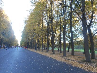 Приморский парк Победы