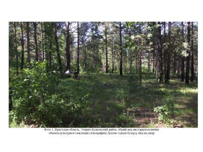 Долоно хушун булдуд