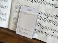 Картхолдер-карман "Любительница абсента"