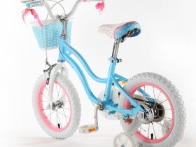 Детский велосипед Royal Baby Stargirl 12, год 2024, цвет Голубой