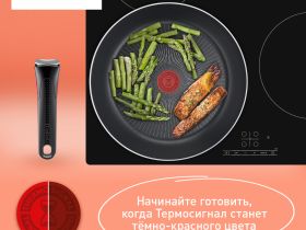 Набор посуды Tefal Ingenio Emotion из 5 предметов 16/20/22/28 см L897S574