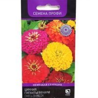 Цинния Гиганты Бенари Смесь окрасок (Семена Профи)