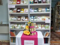 Библиотека с. Новосысоевка