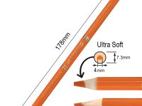 Набор карандашей цветных двусторонних ACMELIAE 24 шт + точилка, в картонном футляре