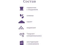 Набор для выращивания растений "Вырасти, Дерево!", "Дерево счастья катальпа"