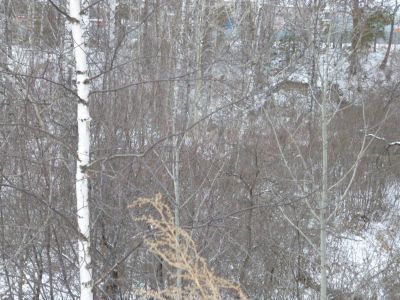 «Братская могила участников боев против армии Колчака»