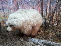 Якутский государственный объединенный музей истории и культуры народов Севера им. Ем. Ярославского