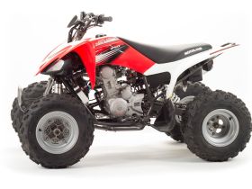 Квадроцикл MOTOLAND 250S