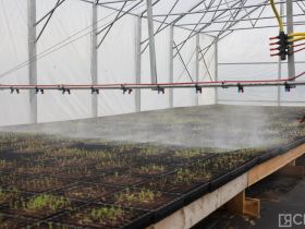 Крупнейший в Якутии лесопитомник открыли в селе Табага