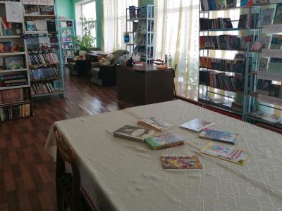 Малоибряйкинская библиотека