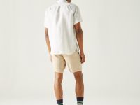 Мужская рубашка Lacoste стандартного кроя