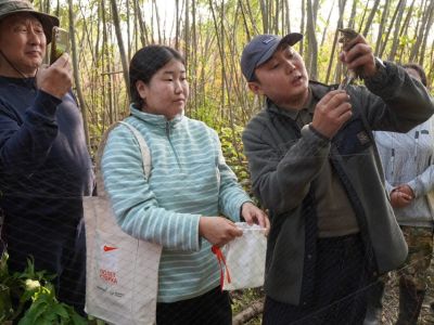 Проект «Полет стерха» расширяет возможности для изучения миграции птиц