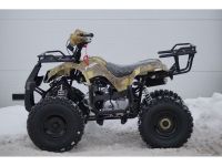 Квадроцикл MOTOLAND 125 Fox A