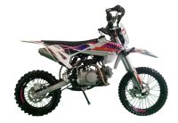 Питбайк JHL Z140E Pro