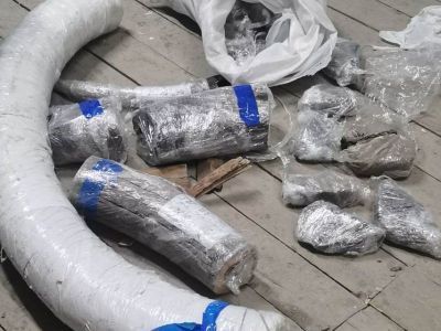 16 тонн бивней мамонта на 192 млн рублей вывезли за границу два дальневосточника
